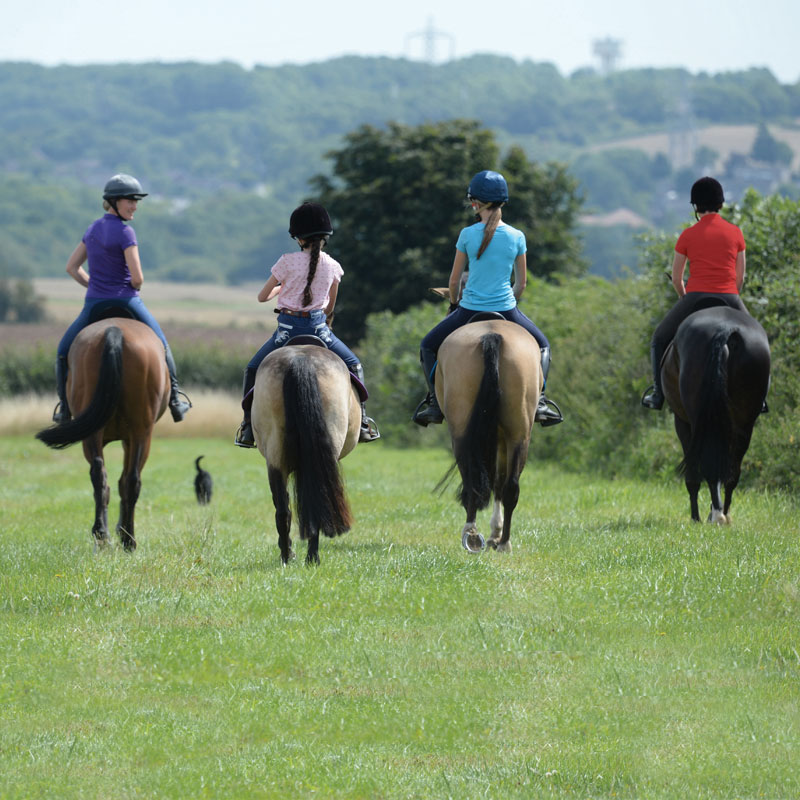 group horse riding in the countryside
